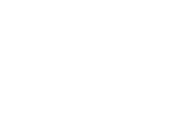 check-my-essay.com